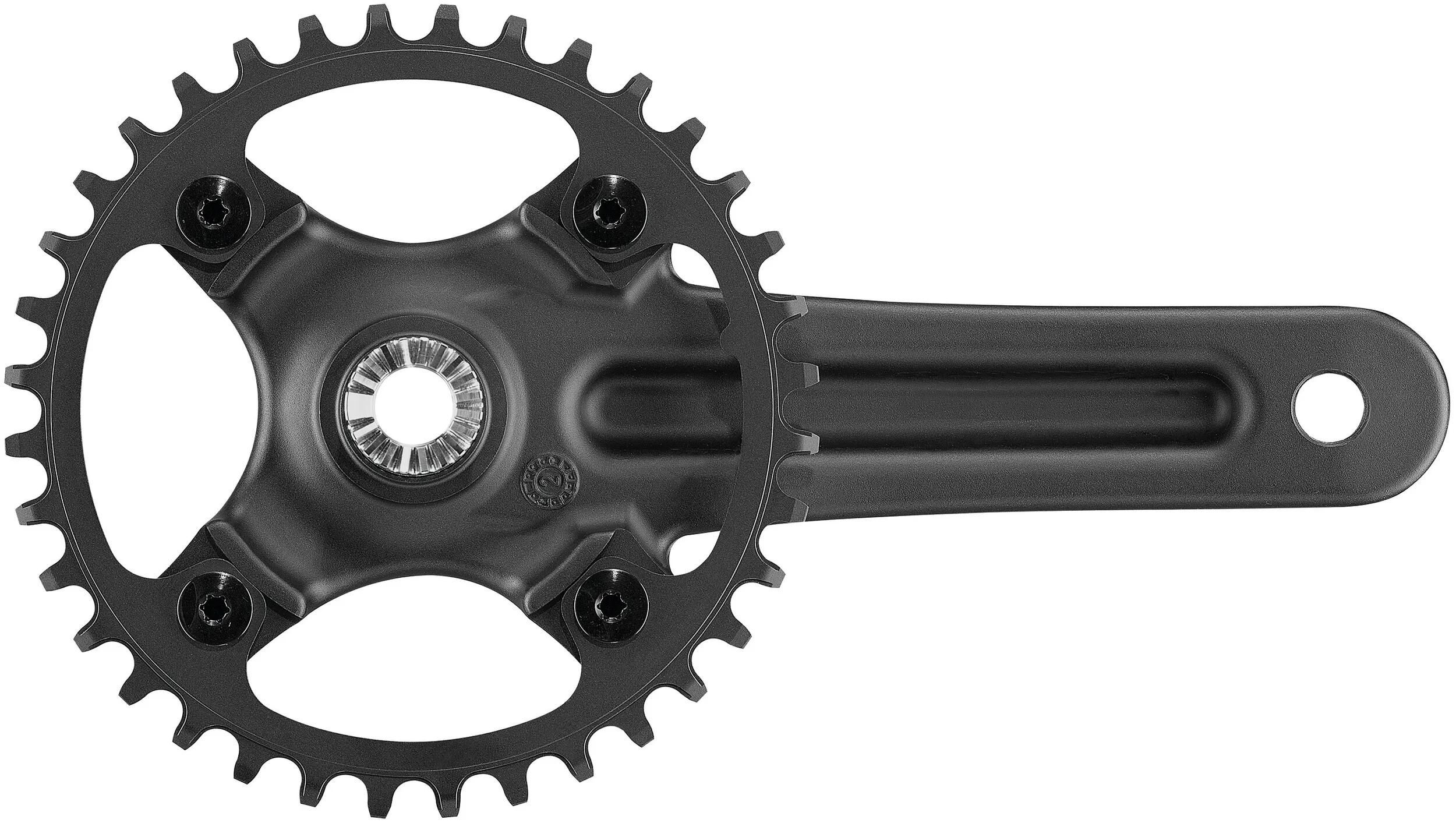 Campagnolo Kettenradgarnitur Ekar GT 13s 40 Zähne 170 mm schwarz