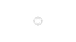 TRW Bremsscheibe MST369