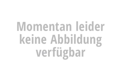 IXIL Hexoval Xtrem Auspuffschelle